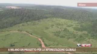 A Milano un progetto per la riforestazione globale [upl. by Ellenahc742]