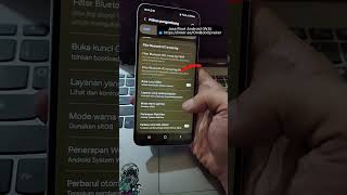 Cara Mengaktifkan Opsi Developer Di Android USB Debugging amp Buka Kunci OEM Di HP Samsung [upl. by Burck453]