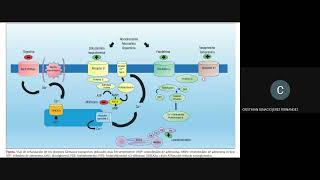 Farmacología en Cardiologia VASOACTIVOS INOTRÓPICOS y ANTIARRÍTMICOS [upl. by Novla]