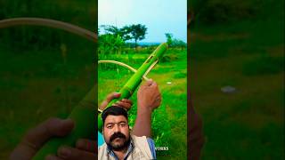 Bamboo Creations With New Green Bamboo Idea bamboo slingshot diy ideas bambooart bamboolabs [upl. by Teragram760]