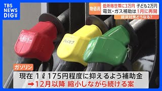 ガソリン補助金“延長”めぐり議論難航か 政府の経済対策案「今年12月以降縮小しながら続ける」に国民民主党・玉木代表「代替措置のない縮小は受け入れられない」｜TBS NEWS DIG [upl. by Wadleigh193]