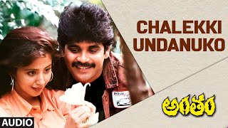 Chalekki Undanuko Audio Song  Antham  Nagarjuna Akkineni Urmila  Ram Gopal Varma  Telugu Songs [upl. by Tezzil728]