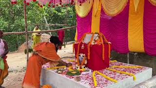 Nityananda Baba Offers Flowers at the Samadhi of His Longtime Friend Dayalu Baba [upl. by Akemahc447]