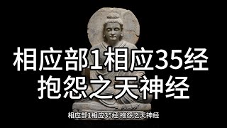 相应部1相应35经 抱怨之天神经，中文白话翻译。（35） [upl. by Esserac910]