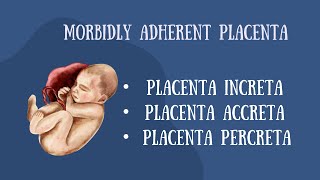 MORBIDLY ATTACHED PLACENTAPLACENTA INRCETAPLACENTA PERCRETAACCRETA [upl. by Greenland471]