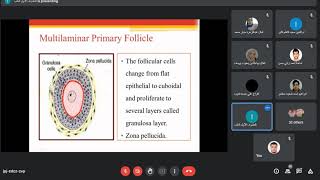 Embryology Gametogenesis [upl. by Iamhaj]