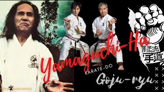 YamaguchiHa Gojukai KarateDo [upl. by Ettenirt436]