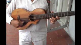 SON JAROCHO EL BUTAQUITO REQUINTO JAROCHO SON VERACRUZANO GUITARRA DE SON EL BUTAQUITO [upl. by Nwahsid]