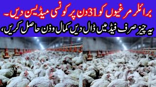 Broiler chicken farming in Pakistan32 day madecin for Best growth [upl. by Atsev995]