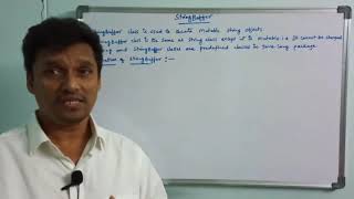 StringBuffer Class in Java  Mutable Strings in Java  Strings  Java Programming  Telugu [upl. by Regina]