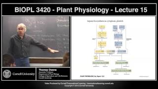 BIOPL3420  Plant Physiology  Lecture 15 [upl. by Parsaye]