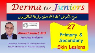 027 Primary and Secondary Skin Lesions [upl. by Weide]