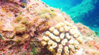 Cavern Dive Chankanaab Park Cozumel Mexico [upl. by Eirellam180]