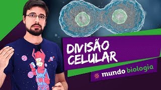 🔬 Citologia 47 Divisão Celular  Biologia  ENEM [upl. by Ellednahc612]