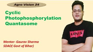 Cyclic Photophosphorylation  Quantasome  Light Reaction  Photosynthetic Unit [upl. by Hulda]