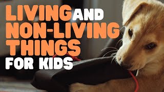 Living and Nonliving Things for Kids [upl. by Philomena]