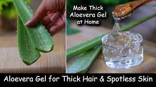 Homemade Aloevera Gel  for Thick Hair Growth amp Spotless Skin  Make Aloevera Gel at Home from Leaf [upl. by Noellyn889]