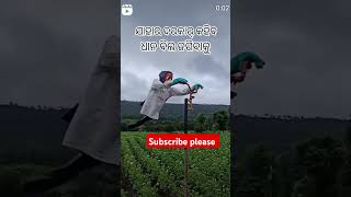 Tak ku dar kar ke ho 😍🌿\ sambalpuri status video  sambalpuri song shortvideo dance [upl. by Assille]