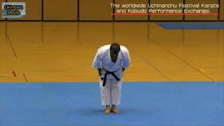 The 2016 Uchinanchu Festival karate amp Kobudo performance  Bo Chou No Kon Ryukonkai Argentina [upl. by Cown739]