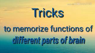 Learn Quickly functions of different parts of brainClass 10th lesson 7 Control and Coordination [upl. by Josephina28]