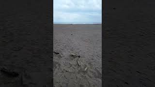 Black sand beach Waiao Beach Taiwan 2024 travel taiwan beach [upl. by Laird]