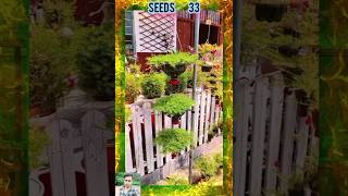 Best home gardening ideas plantsflowers gardening plants flowers flower seedsplants33 [upl. by Goodhen]