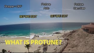 What is Protune GoPro Tip 317  MicBergsma [upl. by Sheply223]