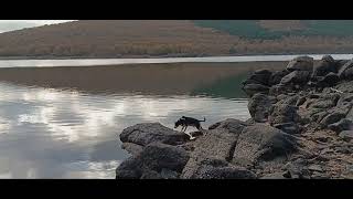 Embalse de la Cuerda del Pozo cerca de Vinuesa [upl. by Edrea589]