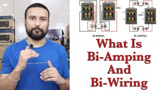 HINDI  What Is BiAmping And BiWiring  How to BiAmp and BiWire Your Speakers  atmos [upl. by Nahshunn]