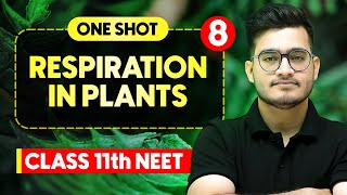 RESPIRATION IN PLANTS  Complete Chapter in One Video  ConceptsPYQs  Class 11th NEET [upl. by Pascale]