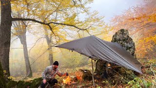 Solo bushcraft camp challenging survival in a dark wild misty autumn forest building a shelter [upl. by Yeoz]