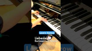 Rachmaninoff  Kreisler  Liebesleid Loves Sorrow From „Your Lie In April“ shorts [upl. by Evetta200]