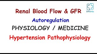 Renal Blood Flow amp GFR Autoregulation  Hypertension Pathophysiology  Physiology  Medicine HS 6 [upl. by Trinee]