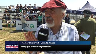 REALIDAD GANADERA  Nestor Chiaravalli [upl. by Eita]