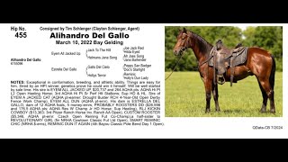 Pitzer Ranch Fall Sale 2024 Lot 455 ALIHANDRO DEL GALLO [upl. by Clapp696]