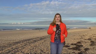 Die Sylt TV Newssendung vom 4 April 2023 [upl. by Rehptsirhc]