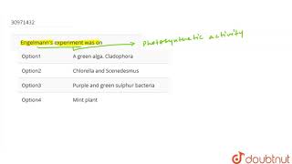 Engelmann\s experiment was on [upl. by Ymmik]