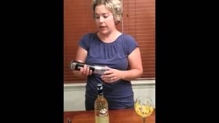 Ozeri Nouveaux Electric Wine Opener Review [upl. by Lahcear]