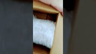 Unboxing video dowser healing products trending viralvideo shorts [upl. by Atteve]