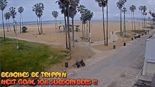 Venice Beach Webcam  Venice Beach Live Cam  venice beach live boardwalk cam [upl. by Penman]