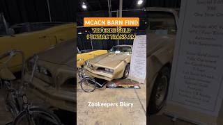 Zookeepers Diary BARN FIND car Pontiac Trans Am Y88 400 Gold Theme Edition mcacn 2024 [upl. by Naugal280]