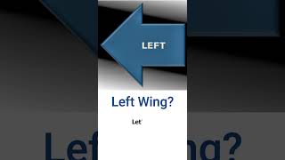 Left Wing [upl. by Inwat]