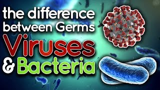 Whats the Difference Between Germs Bacteria and Viruses [upl. by Akinwahs]