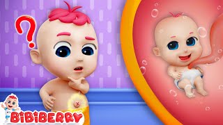 Why Do We Have Belly Button  Learn Body Parts With Jozzy  Bibiberry Nursery Rhymes amp Kids Songs [upl. by Nyrrad]