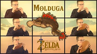 Molduga Breath of the Wild  Ocarina Septet Cover [upl. by Refotsirc395]