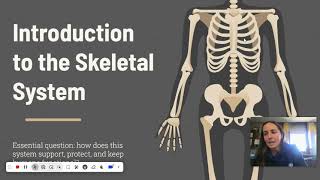 Introduction to the Skeletal System [upl. by Ahsote]