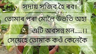 অবুজন মন ❤️ Abujon mon 😔অসমীয়া কবিতা ❤️ Assamese poem [upl. by Nael]