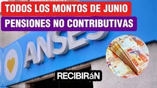 🛑Montos a Cobrar💲 por TODAS❗ las Pensiones No Contributivas de ANSES en Junio de 2024 [upl. by Burger]