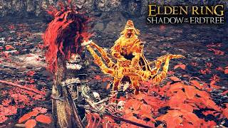 The Best Voice Acting in Elden Ring Shadow of the Erdtree Igon vs Bayle the Dread [upl. by Fabrin504]