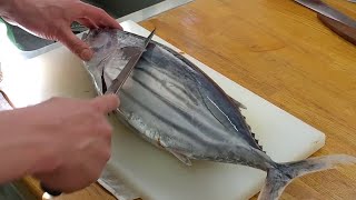 Best Bonito Fish Filleting Skills Fastest Filleting Fish [upl. by Tayib]